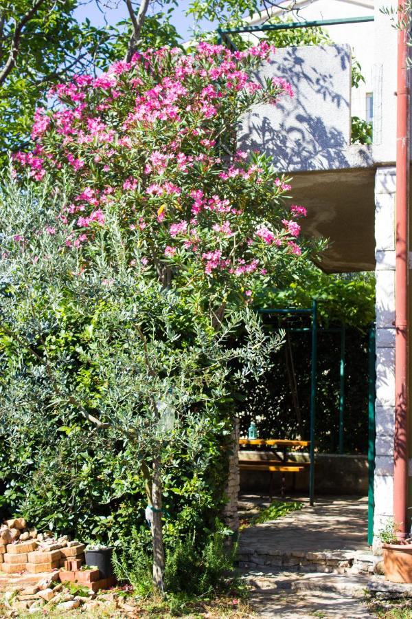 Bilini Garden Apartment Pula Exterior photo