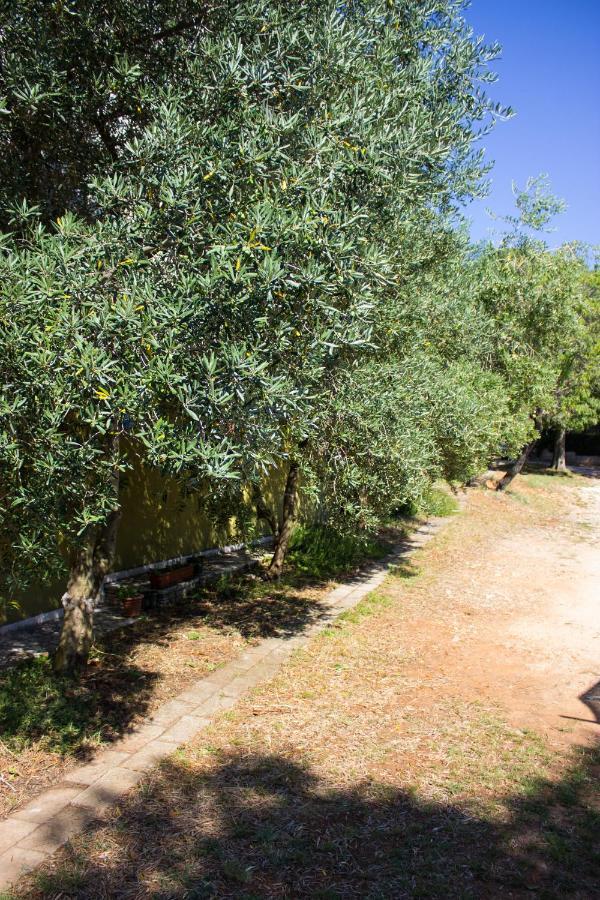 Bilini Garden Apartment Pula Exterior photo
